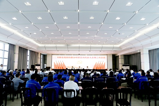 集團公司召開黨代會補選兩名第五屆黨委委員